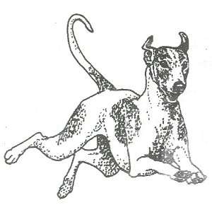  Dog Rubber Stamp   Whippet   WHIP 4E: Office Products