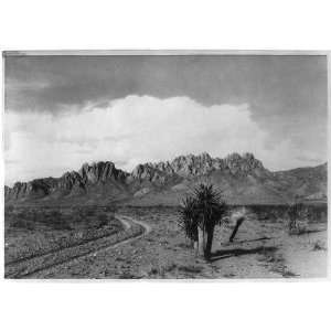  Organ Mountains,New Mexico,NM,c1925