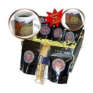 Doreen Erhardt Horses   Stallion   Coffee Gift Baskets   Coffee Gift 