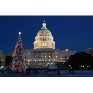  Holiday Cheer at the United States Capitol