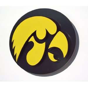    Iowa Hawkeyes NCAA Team Logo 3D Metal Wall Art: Sports & Outdoors