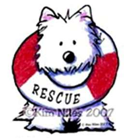 Boat Westie Tshirt 7600 sail beach dog rescue swim  