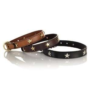  Stars Dog Collar   4 colors
