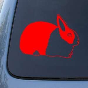 DUTCH RABBIT   Bunny   Vinyl Car Decal Sticker #1510  Vinyl Color 