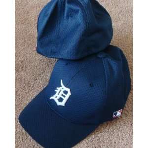   Lg/XL Detroit TIGERS Home Navy Blue Hat Cap Mesh: Everything Else
