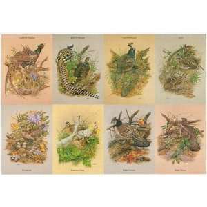  Game Birds Jigsaw Puzzle 1000pc: Toys & Games