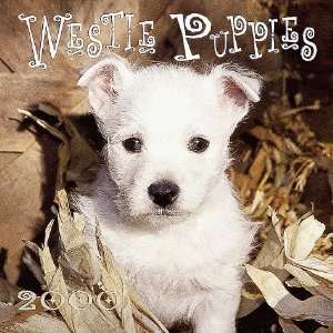  Westie Puppies 2000 Calendar (9780763121020) Books