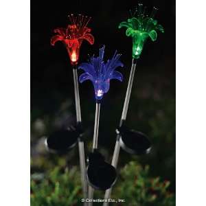  Floral Solar Color Changing Light Stakes: Everything Else