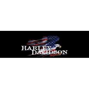 Vantage Point Harley Davidson Window Graphics: Sports 