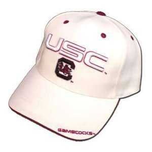  Twins South Carolina Gamecocks White Fusion Hat: Sports 