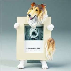 Collie Dog Picture Frame