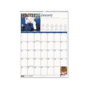  Kittens Monthly Wall Calendar, 12 x 16 1/2, 2012