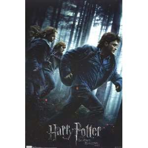  Harry Potter Deathly Hollows   Poster (22x34)
