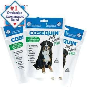 Cosequin Soft Chews 3 x 60 = 180 Count Mobility Supplement for Dogs 