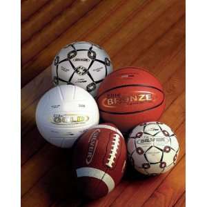 Sportime Elite Series Soccer Balls   Size 4 Office 