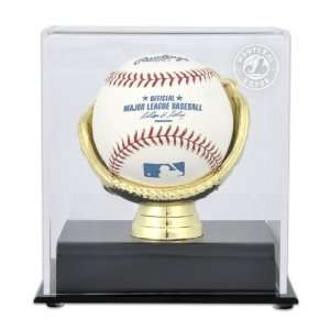   Glove MLB Single Baseball Expos Logo Display Case: Sports & Outdoors
