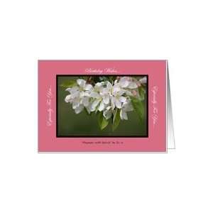  Birthday Apple Blossom Wishes   By Su z Card Toys & Games
