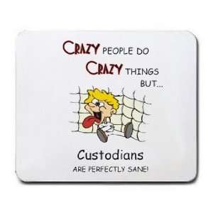  CRAZY PEOPLE DO CRAZY THINGS BUT Custodians ARE PERFECTLY 