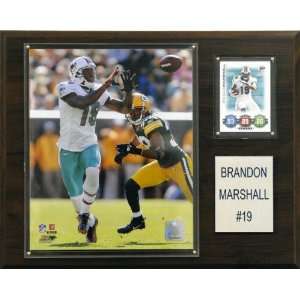  NFL Brandon Marshall Miami Dolphins Player Plaque: Sports 
