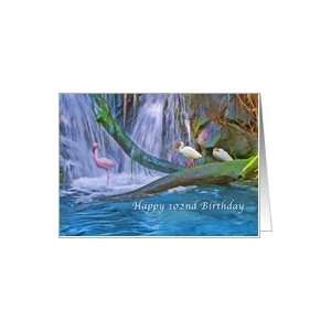  Birthday, 102nd, Religious, Tropical Waterfall, Flamingo 