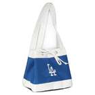 Insulated Fashionable Lunch Bag  