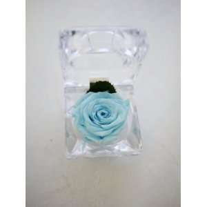   Real Preserved Light Blue Rose Decoration for Beloved: Home & Kitchen