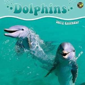 Dolphins 2012 Wall Calendar