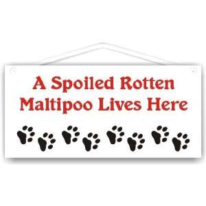  A Spoiled Rotten Maltipoo Lives Here: Everything Else