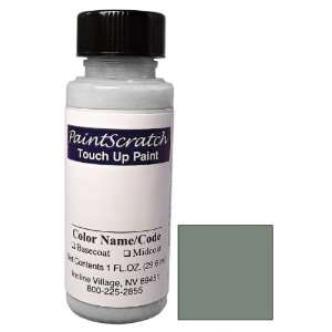  1 Oz. Bottle of Solaris Silver Metallic Touch Up Paint for 