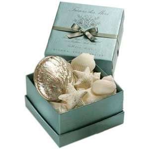   Rose Tresors des Mers (Treasures of the Sea) Seashell Soap Beauty