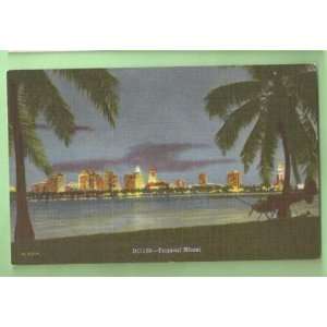  Postcard Vintage Tropical Miami at night Florida 