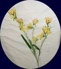 Yellow Silk Meadow Grass Flowers Filler spray 1885