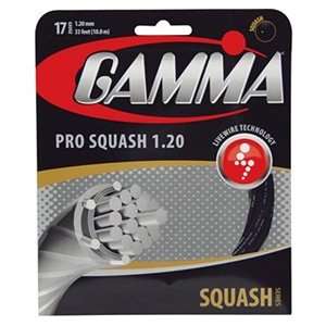  Gamma Live Wire Pro Squash   Squash String Set 17B Sports 