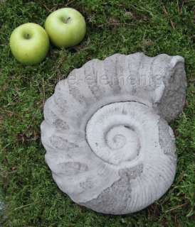 Ammonit Fossile original englischer Sandstein 30 cm 5 kg Steinammonit 