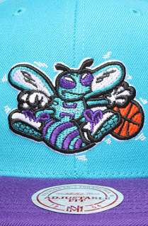 Mitchell & Ness The NBA Wool Snapback Hat in Teal Purple  Karmaloop 