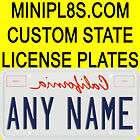 Custom Vanity License Plate   Personaliz​ed Novelty Stat