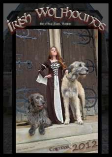 Hunde Kalender 2012 Irish Wolfhound Wolfshund DIN A 3  