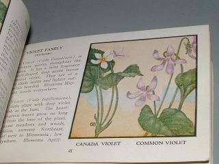 1932, WILD FLOWERS OF AMERICA, Beautiful Color Plates!  