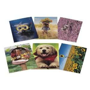  Avanti Thank You Card Collection, Bunches of Thanks, 12 