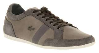 Mens Lacoste Mad Lace Gibson Grey Suede Casual Shoes  