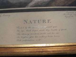   Tranfer Engraving by R.Smith  NATURE  after G.Romney