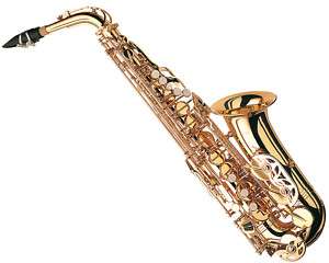 NEW Jupiter 565GL Eb Alto Saxophone Starter Set Student  
