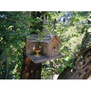 Church Bird House Hanging in a Tree, Sutter Creek, California 