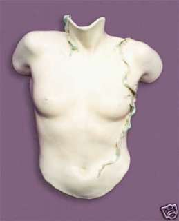 Body Casting mold Rubber 2lb cast kit Hydrogel Alginate  