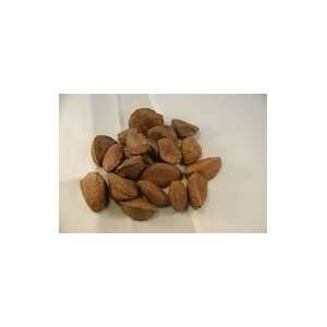 In Shell Brazil Nuts (4 pounds)  Grocery & Gourmet Food