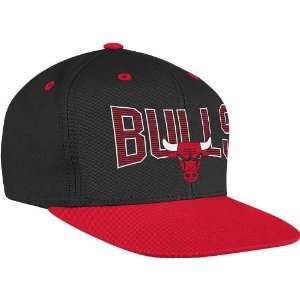  Chicago Bulls Adidas NBA Name & Logo Snap Back Hat Sports 