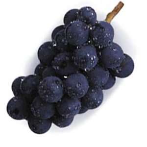Concord Grape Extract, Natural Flavor Blend   1 Gallon Jug  