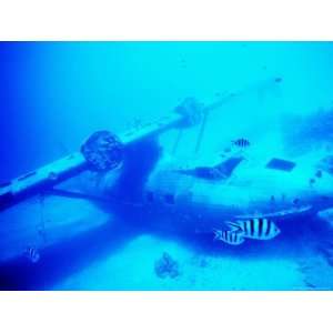  Catalina Flying Boat Wreck Underwater, French Polynesia 