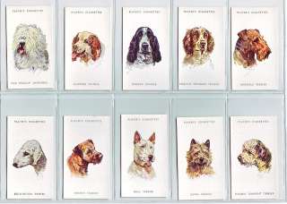 Complete Set of 50 Dogs Paintings Cards from 1940  