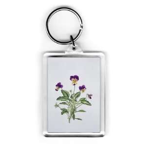 Viola Tricolor, 1999 (w/c on paper) by Ruth Hall   Acrylic Keyring 